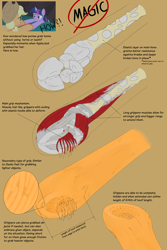 Size: 4000x6000 | Tagged: safe, artist:apuljack, imported from derpibooru, screencap, applejack, twilight sparkle, alicorn, earth pony, pony, unicorn, friendship is magic, analysis, anatomy, body horror, dexterous hooves, diagram, headcanon, hoof hold, hooves, physiology, science, screencap reference, text, thanks i hate it, theory, underhoof, unicorn twilight