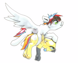 Size: 2556x2082 | Tagged: safe, artist:oddwarg, imported from derpibooru, oc, oc only, oc:oxford nimbus, oc:sulphur nimbus, hippogriff, pegasus, pony, butt feathers, community related, duo, female, flying, flying lesson, folded wings, goggles, hippogriff oc, holding, hoof hold, male, spread wings, stallion, sulphur nimbus, traditional art, underhoof, wings