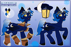 Size: 4100x2684 | Tagged: safe, artist:hakkids2, imported from derpibooru, oc, oc only, oc:midnight oil, pegasus, pony, abstract background, boots, clothes, female, goggles, jacket, lidded eyes, mare, raised hoof, reference sheet, shoes, smiling, steampunk, tail wrap