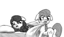 Size: 1358x800 | Tagged: safe, artist:nimaru, imported from derpibooru, oc, oc only, oc:crabapple, oc:winter willow, earth pony, pegasus, pony, blanket, female, floppy ears, male, mare, monochrome, mouth hold, stallion