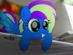 Size: 1024x769 | Tagged: safe, artist:itsnovastarblaze, artist:xxxdavid09xxx, imported from derpibooru, oc, oc only, oc:blazey, oc:novastar blaze, pegasus, pony, bed, blurred background, blurry background, curtains, cute, female, happy, irl, mare, ocbetes, pegasus oc, photo, pillow, ponies in real life, real life background, signature, smiling, solo, spread wings, window, wings