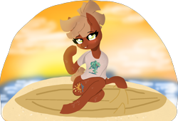 Size: 1504x1020 | Tagged: safe, artist:nootaz, imported from derpibooru, oc, oc only, oc:calamari sunrise, earth pony, pony, art trade, beach, female, mare, pose, simple background, solo, surfboard, transparent background, wet