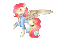 Size: 1280x854 | Tagged: safe, artist:snowflakecrystalyt, imported from derpibooru, oc, oc only, oc:cheery candy, pegasus, pony, blushing, clothes, commission, female, freckles, hoodie, mare, missing cutie mark, multicolored hair, rainbow hair, rainbow socks, raised hoof, raised leg, simple background, socks, solo, striped socks, transparent background