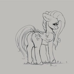 Size: 4000x4000 | Tagged: safe, artist:miokomata, imported from derpibooru, fluttershy, pegasus, pony, butt, chest fluff, dock, featureless crotch, female, freckles, freckleshy, looking at you, looking back, looking back at you, mare, monochrome, plot, rear view, simple background, sketch