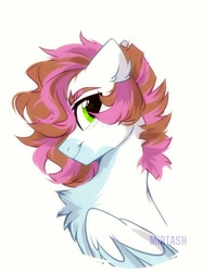 Size: 1118x1499 | Tagged: safe, artist:mirtash, imported from derpibooru, oc, oc only, pegasus, pony, bust, solo