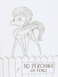 Size: 1039x1361 | Tagged: safe, artist:ravenpuff, imported from derpibooru, oc, oc:whirly bird, pegasus, pony, fence, fuck the police, male, monochrome, solo, stallion, traditional art