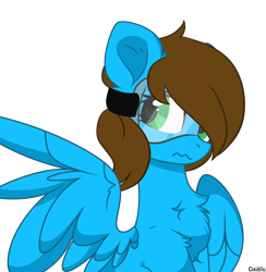 Size: 2908x2980 | Tagged: safe, artist:kawaiizhele, imported from derpibooru, oc, oc only, oc:blue scroll, pegasus, pony, female, rule 63, safety goggles