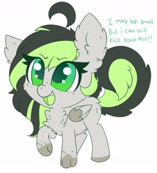 Size: 2457x2701 | Tagged: safe, artist:miss-jessiie, artist:pegamutt, imported from derpibooru, oc, oc only, oc:bree jetpaw, pegasus, pony, smol, solo, vulgar