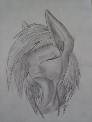 Size: 3456x4608 | Tagged: safe, artist:darky_wings, imported from derpibooru, oc, oc:darky wings, pegasus, pony, black and white, eyes closed, grayscale, headphones, listening, monochrome, smiling, traditional art