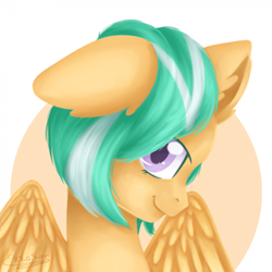 Size: 700x700 | Tagged: safe, artist:ekko-san, imported from derpibooru, oc, oc only, oc:mango foalix, pegasus, pony, solo, wings