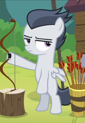 Size: 610x883 | Tagged: safe, imported from derpibooru, screencap, rumble, pony, marks and recreation, archery, arrow, bipedal, bow, cropped, disinterested, lidded eyes, male, solo