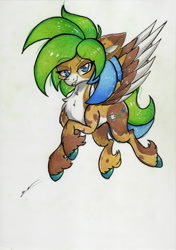 Size: 2460x3486 | Tagged: safe, artist:luxiwind, imported from derpibooru, oc, oc only, oc:luxi wind, pegasus, pony, colored wings, high res, male, multicolored wings, solo, stallion, traditional art, wings