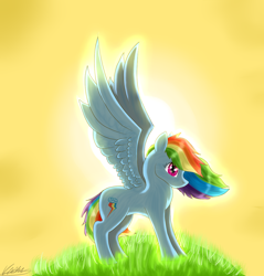 Size: 1100x1150 | Tagged: safe, artist:tory-the-fuzzball, imported from derpibooru, rainbow dash, pegasus, pony, backwards cutie mark, female, grass, mare, sky, solo, spread wings, sun, wings