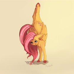 Size: 4000x4000 | Tagged: safe, artist:miokomata, imported from derpibooru, fluttershy, pegasus, pony, backbend, badass, badass adorable, blushing, chest fluff, cute, dock, female, flexible, flutterbadass, freckles, freckleshy, handstand, mare, open mouth, shyabetes, signature, simple background, solo, underhoof, upside down, yoga