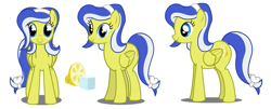 Size: 1349x547 | Tagged: safe, artist:flash equestria photography, imported from derpibooru, oc, oc only, oc:lemon frost, pegasus, pony, female, show accurate, solo