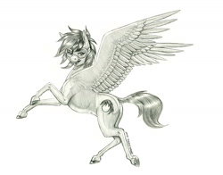 Size: 1400x1098 | Tagged: safe, artist:baron engel, imported from derpibooru, oc, oc only, oc:caldera, pegasus, pony, goggles, grayscale, monochrome, pencil drawing, simple background, solo, traditional art, white background