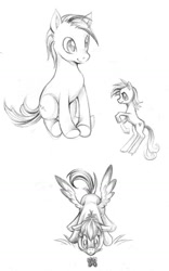 Size: 800x1284 | Tagged: safe, artist:ailish, imported from derpibooru, oc, oc only, earth pony, pegasus, pony, monochrome, sitting, sketch, solo