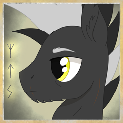 Size: 1109x1109 | Tagged: safe, artist:dyonys, imported from derpibooru, oc, oc:grey iron, earth pony, pony, bust, fluffy, male, profile, runes, scar, stallion