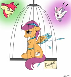 Size: 1280x1373 | Tagged: safe, artist:monsoonvisionz, imported from derpibooru, apple bloom, scootaloo, sweetie belle, earth pony, pegasus, pony, unicorn, cage, collar, colored wings, colored wingtips, confused, cutiemarking, feather, female, filly, implied rainbow dash, laughing, scootaloo is not amused, simple background, sitting, spread wings, two toned wings, unamused, white background, wings, wristband