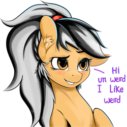 Size: 4096x4096 | Tagged: safe, artist:xxpaw2001xx, imported from derpibooru, oc, oc only, pony, female, simple background, smiling, solo, white background