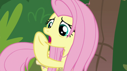 Size: 1920x1080 | Tagged: safe, imported from derpibooru, screencap, fluttershy, pony, she talks to angel, female, mare, open mouth, raised hoof, solo