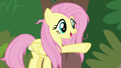 Size: 1920x1080 | Tagged: safe, imported from derpibooru, screencap, fluttershy, pegasus, pony, she talks to angel, female, folded wings, mare, messy mane, pointing, raised hoof, solo, wings