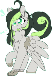 Size: 1782x2579 | Tagged: safe, artist:liefsong, imported from derpibooru, oc, oc only, oc:bree jetpaw, dog, dog pony, chest fluff, paws, puppy, simple background, solo, transparent background, wings