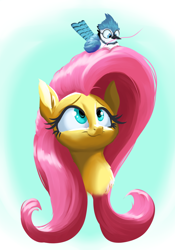 Size: 1400x2000 | Tagged: safe, artist:rocket-lawnchair, imported from derpibooru, fluttershy, bird, blue jay, pegasus, bust, chest fluff, cute, female, looking up, shyabetes, smiling, solo