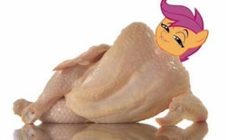 Size: 506x313 | Tagged: safe, imported from derpibooru, scootaloo, bird, chicken, cursed image, draw me like one of your french girls, female, not salmon, op is a chicken, op is a duck, scootachicken, simple background, solo, thanks i hate it, wat, white background, why