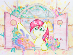Size: 4032x3024 | Tagged: safe, artist:papersurgery, imported from derpibooru, roseluck, earth pony, pony, cute, female, flower, looking at you, mare, open mouth, solo, traditional art, watercolor painting, window