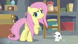 Size: 1920x1080 | Tagged: safe, imported from derpibooru, screencap, angel bunny, fluttershy, pegasus, pony, rabbit, she talks to angel, animal, duo, female, ladder, male, mare, messy mane, raised hoof