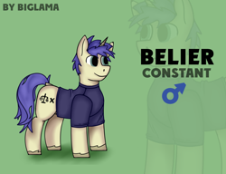 Size: 1470x1131 | Tagged: dead source, safe, artist:biglama, artist:circumflexs, imported from derpibooru, oc, oc only, oc:belier, pony, male, shirt, simple background, solo, stallion, t-shirt, text, unshorn fetlocks