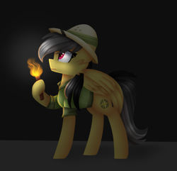 Size: 706x680 | Tagged: safe, artist:clairedaartiste444, artist:tater, imported from derpibooru, daring do, pegasus, pony, cheek fluff, female, hat, hoof hold, pith helmet, solo, torch