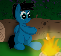 Size: 3600x3300 | Tagged: safe, artist:agkandphotomaker2000, imported from derpibooru, oc, oc:pony video maker, pegasus, pony, campfire, drawing, food, forest, log, marshmallow, roasting, simple background, sitting, wooden stick