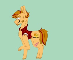 Size: 1024x844 | Tagged: safe, artist:hawklesscorruption, imported from derpibooru, oc, oc:whiskey apple, earth pony, pony, chest fluff, clothes, facial hair, goatee, magical gay spawn, male, offspring, parent:big macintosh, parent:rockhoof, parents:rockmac, scar, sleeveless, stallion, trans male, trans stallion, vest