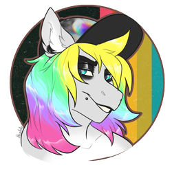 Size: 1796x1768 | Tagged: safe, artist:jeshh, imported from derpibooru, oc, oc only, oc:pop shuvit, pony, bust, cap, hat, male, portrait, simple background, solo, stallion, transparent background