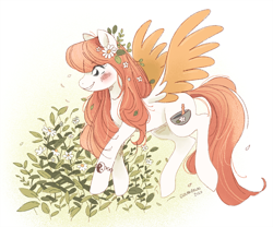 Size: 900x750 | Tagged: safe, artist:clovenfawn, imported from derpibooru, oc, oc only, oc:arvensis, pegasus, pony, blush marks, blushing, bracelet, colored wings, colored wingtips, female, flower, flower in hair, jewelry, mare, plants, solo, wings