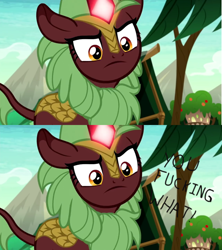 Size: 1920x2160 | Tagged: safe, edit, edited screencap, imported from derpibooru, screencap, cinder glow, summer flare, kirin, sounds of silence, angry, background kirin, caption, cinder glow is not amused, comic, female, glowing horn, horn, image macro, screencap comic, solo, text, vulgar