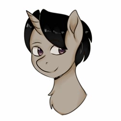 Size: 2000x2000 | Tagged: safe, artist:poofindi, imported from derpibooru, oc, oc only, oc:archooves, pony, unicorn, bust, horn, male, simple background, solo, stallion, white background