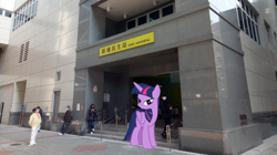 Size: 4160x2336 | Tagged: safe, imported from derpibooru, twilight sparkle, alicorn, pony, china, chinese, coronavirus, covid-19, irl, new taipei, photo, ponies in real life, taipei metro, taiwan, twilight sparkle (alicorn)