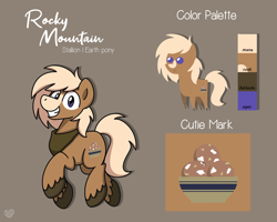 Size: 2560x2048 | Tagged: safe, alternate version, artist:sugar morning, imported from derpibooru, oc, oc only, oc:rocky mountain, earth pony, pony, bandana, commission, cutie mark, male, pointy ponies, reference sheet, simple background, solo, stallion, unshorn fetlocks