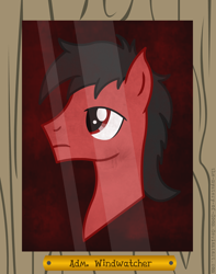 Size: 1198x1518 | Tagged: safe, artist:the-mystery-of-doom, imported from derpibooru, oc, oc only, oc:windwatcher, earth pony, pony, bust, earth pony oc, frown, male, portrait, solo, stallion