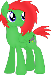 Size: 1428x2084 | Tagged: safe, artist:soulakai41, imported from derpibooru, oc, oc only, pegasus, pony, male, simple background, solo, stallion, transparent background