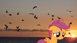 Size: 728x410 | Tagged: safe, imported from derpibooru, scootaloo, bird, pegasus, pony, seagull, alone, female, filly, ocean, sad, scootalone, scootasad, solo