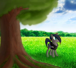 Size: 2000x1800 | Tagged: safe, artist:greenwintersky, imported from derpibooru, oc, oc:black knight, bat pony, pony, clothes, cloud, cloudy, fluffy, forest, happy, hoodie