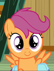 Size: 715x937 | Tagged: safe, imported from derpibooru, screencap, scootaloo, pegasus, pony, growing up is hard to do, bag, big eyes, cropped, cute, cutealoo, female, filly, foal, looking at you, saddle bag, smiling, solo, spread wings, wings