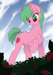 Size: 2480x3508 | Tagged: safe, artist:arctic-fox, imported from derpibooru, oc, oc:pine berry, earth pony, pony, chest fluff, cloud, cloudy, ear fluff, female, field, fluffy, food, mare, perspective, raised hoof, strawberry
