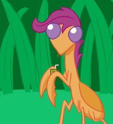 Size: 549x600 | Tagged: artist needed, safe, imported from derpibooru, scootaloo, mantis, juice, juice box, species swap, wat