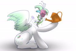 Size: 4500x3000 | Tagged: safe, artist:fiyawerks, imported from derpibooru, oc, oc only, headless horse, original species, pegasus, plant pony, adorawat, cute, cyriak, flower, headless, high res, not salmon, plant, simple background, surreal, wat, water, watering can, weird, white background, wtf