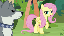 Size: 1920x1080 | Tagged: safe, imported from derpibooru, screencap, angel bunny, fluttershy, sandra, pegasus, pony, wolf, she talks to angel, body swap, collar, dog collar, female, mare, raised hoof